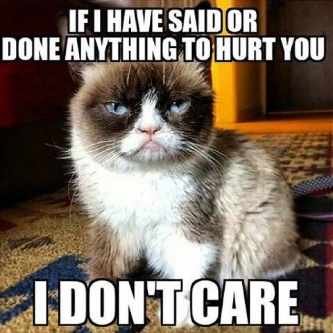 Grumpy Cat Meme