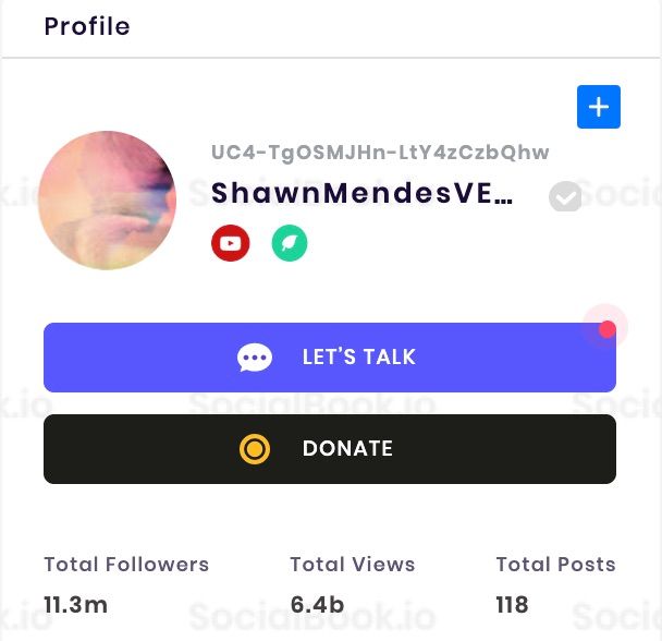 ShawnMedesVEVO has 11.3 Million Subscribers.