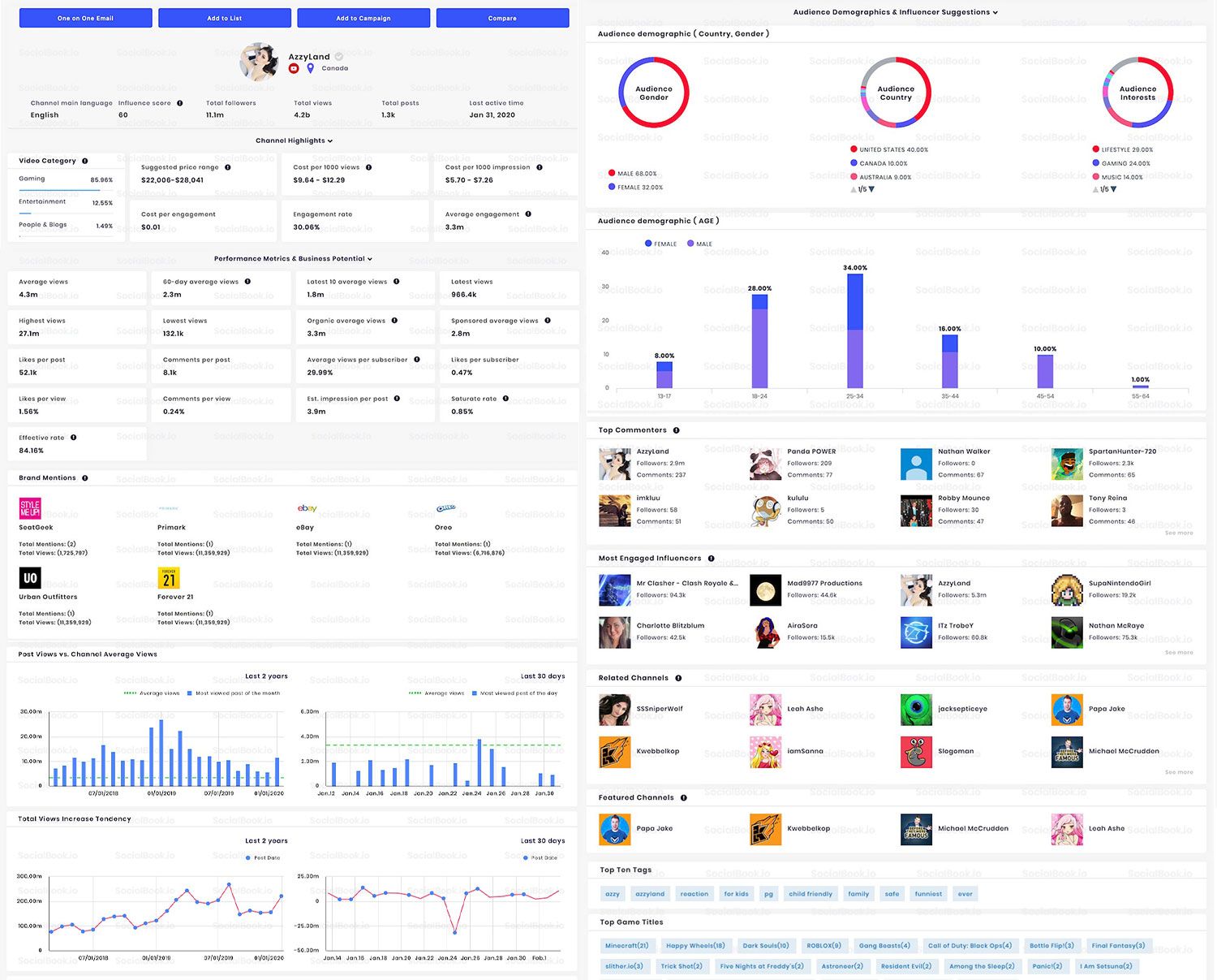 A sample influencer channel analytics with full audience demographics data. 