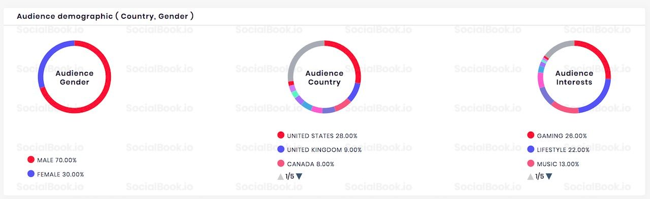 Audience demographics data of PewDiePie's YouTube channel.