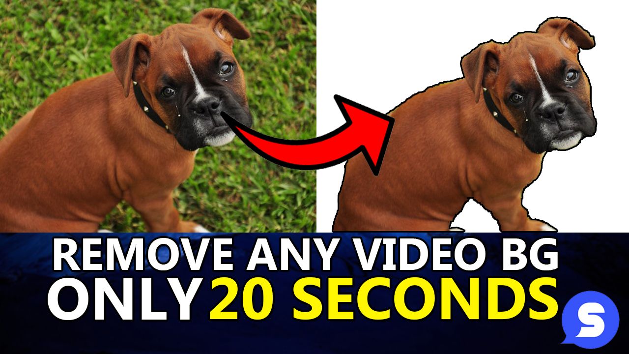 A Step-by-step Guide: Using SocialBook Video Background Remover Tool