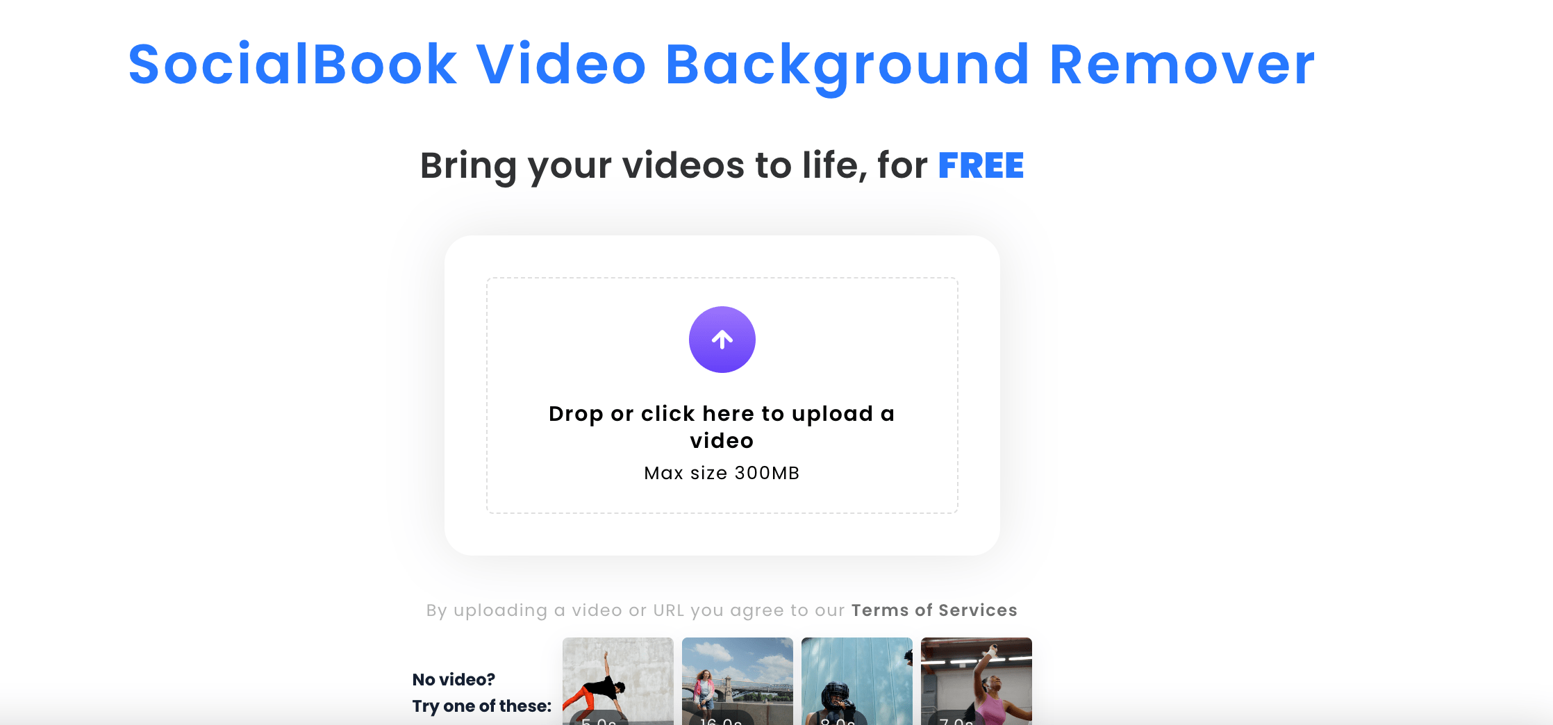 Top 5 Online Video Background Remover Tools for 2022