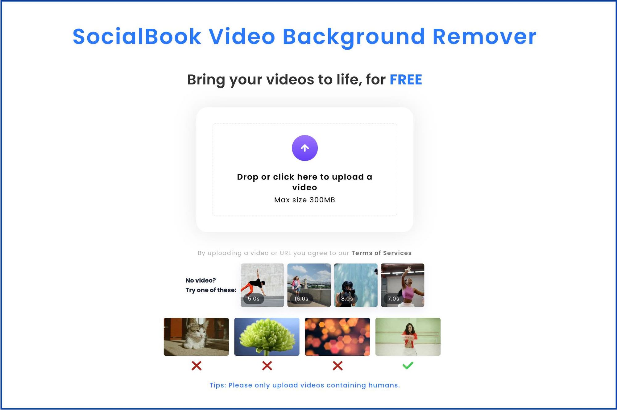 Upload your video to SocialBook Video Background Remover.