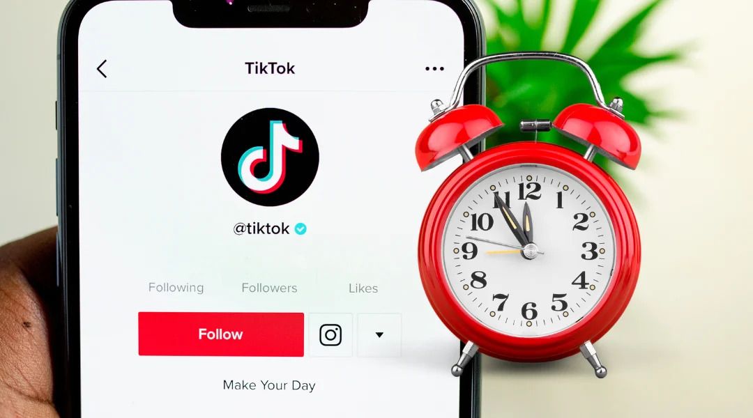 Top 20 Most-Liked TikTok Posts of November 2025