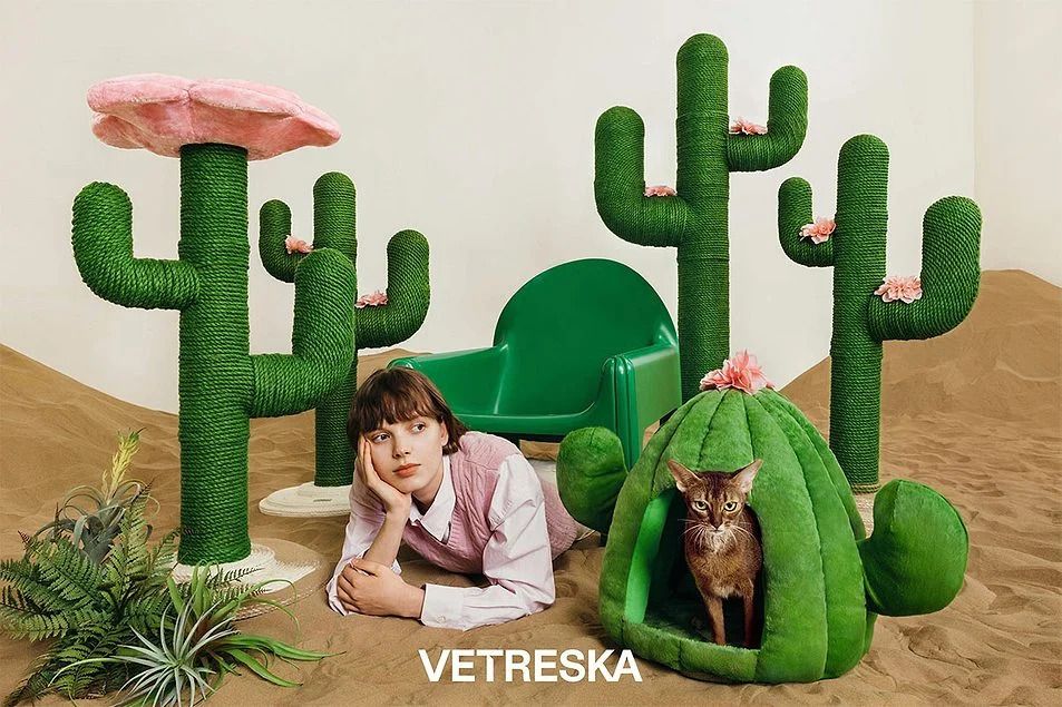 How Vetreska Won the Global Pet Market Without Smart Gadgets