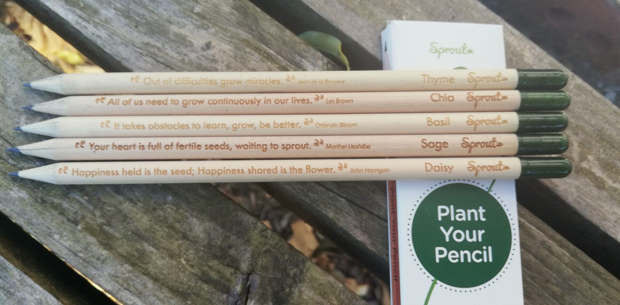 From Trash to Tomatoes: The $16 Pencil That Grows Into Plants (and a Viral Green Business)
