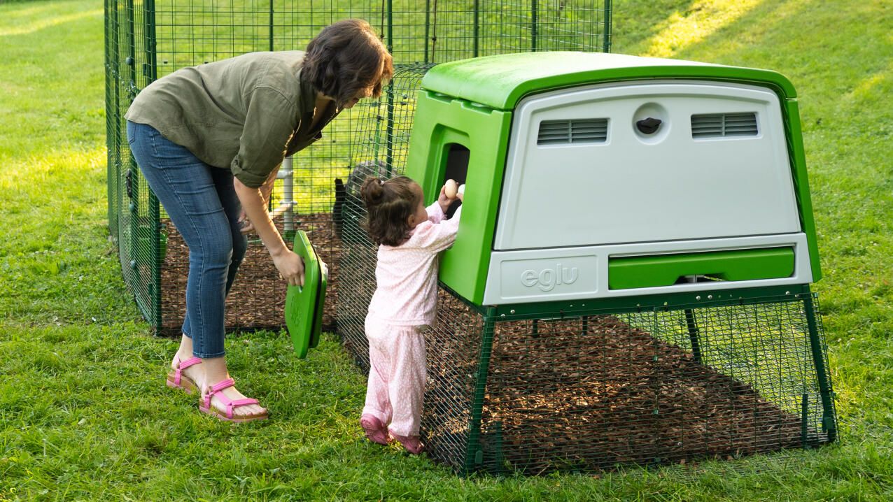 Why Are Americans Obsessed With Backyard Chickens? The $1,500 Chicken Coop Business Says It All