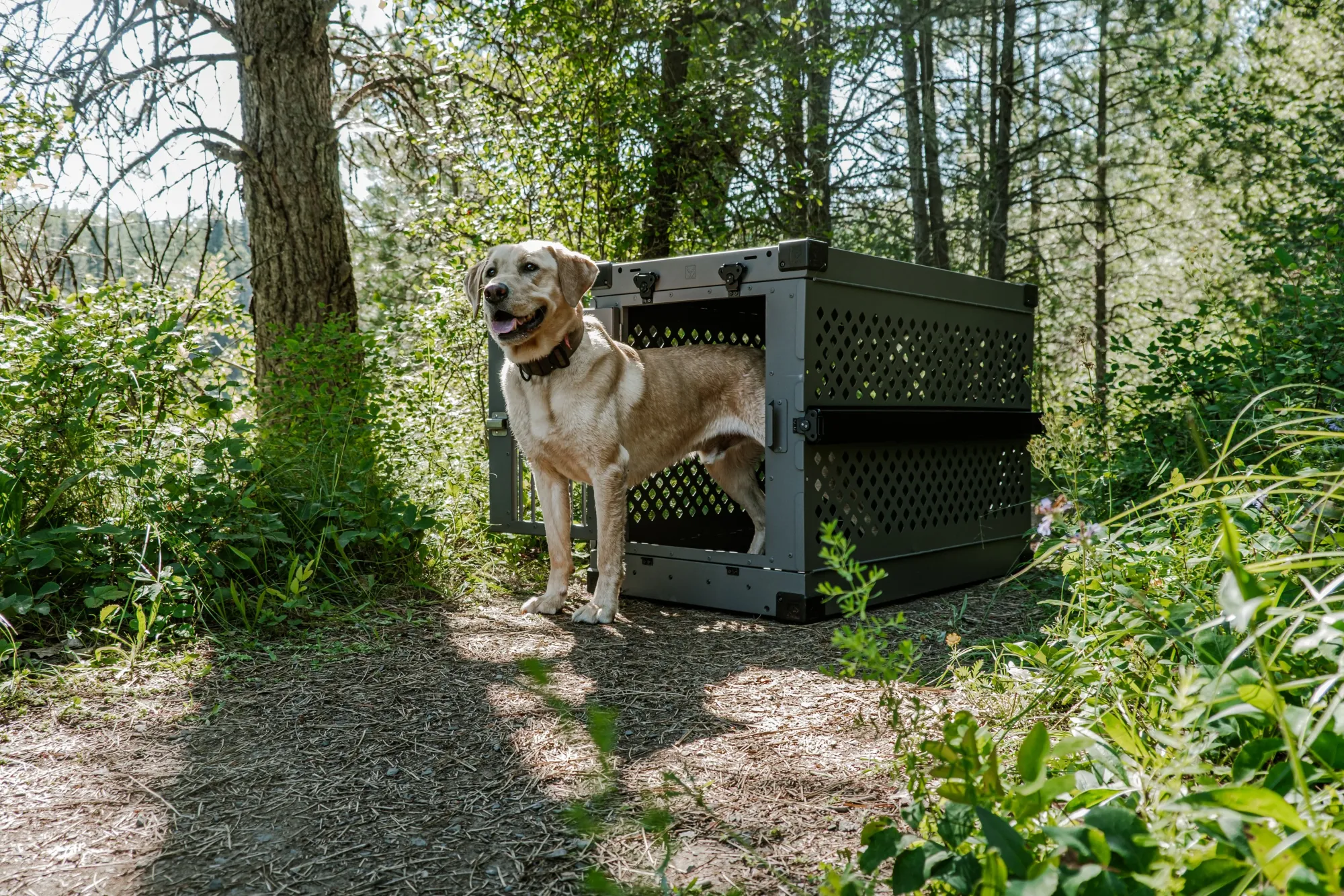 The $849 Dog Crate That Built a Premium Brand