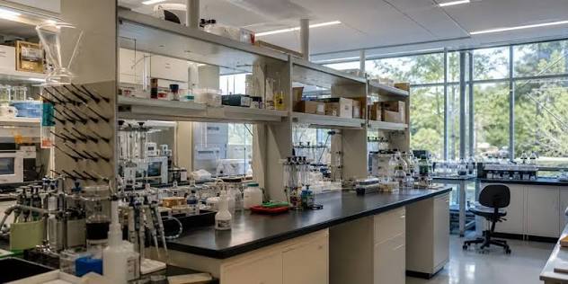 Why Is Claude Starting to Work in Real Labs?