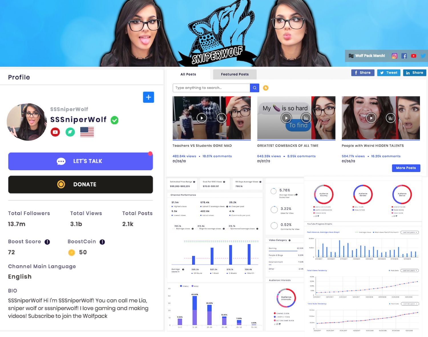 Sample Social Media Influencer Channel Profile and Stats [YouTube]