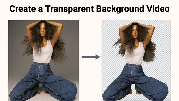 Two Best Methods to Create a Transparent Background Video