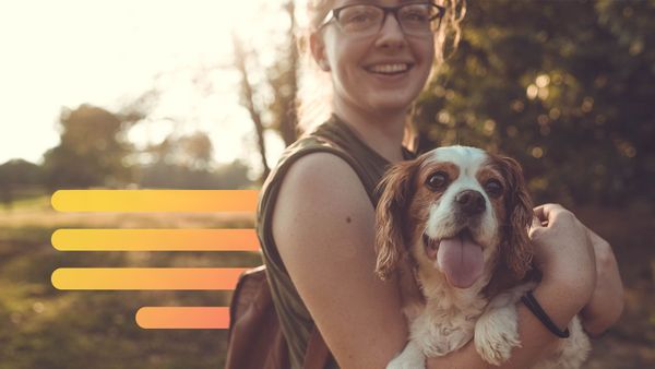 Everything Marketers Need to Know About Pet Influencers