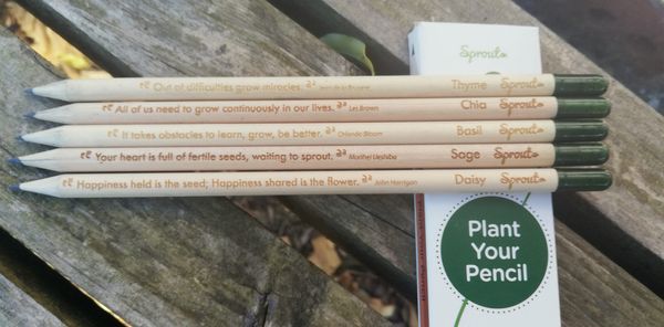 From Trash to Tomatoes: The $16 Pencil That Grows Into Plants (and a Viral Green Business)