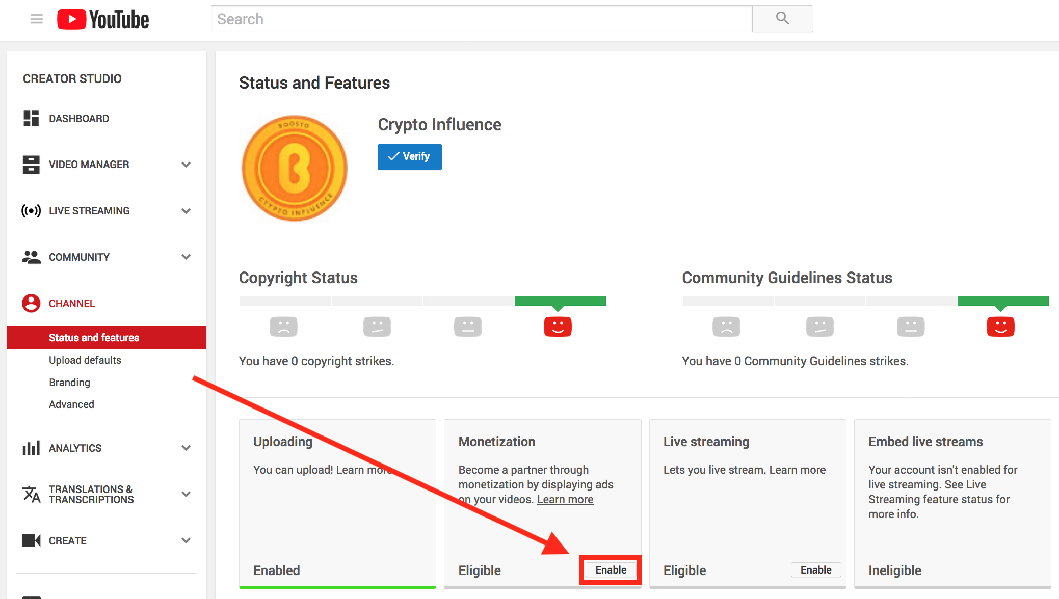 Enable YouTube Channel "Monetization"