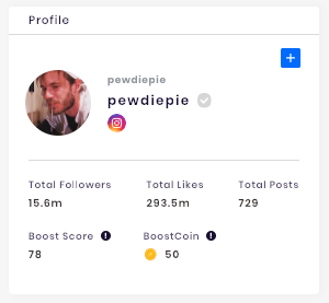 Basic profile section of influencer. 