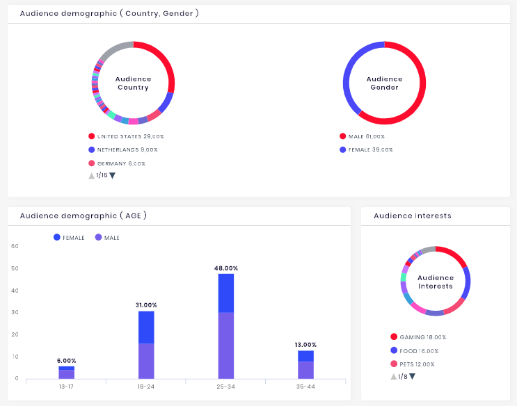 Audience demographics section of the Instagram channel analytics.