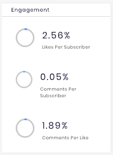 Engagement section of the Instagram channel analytics.