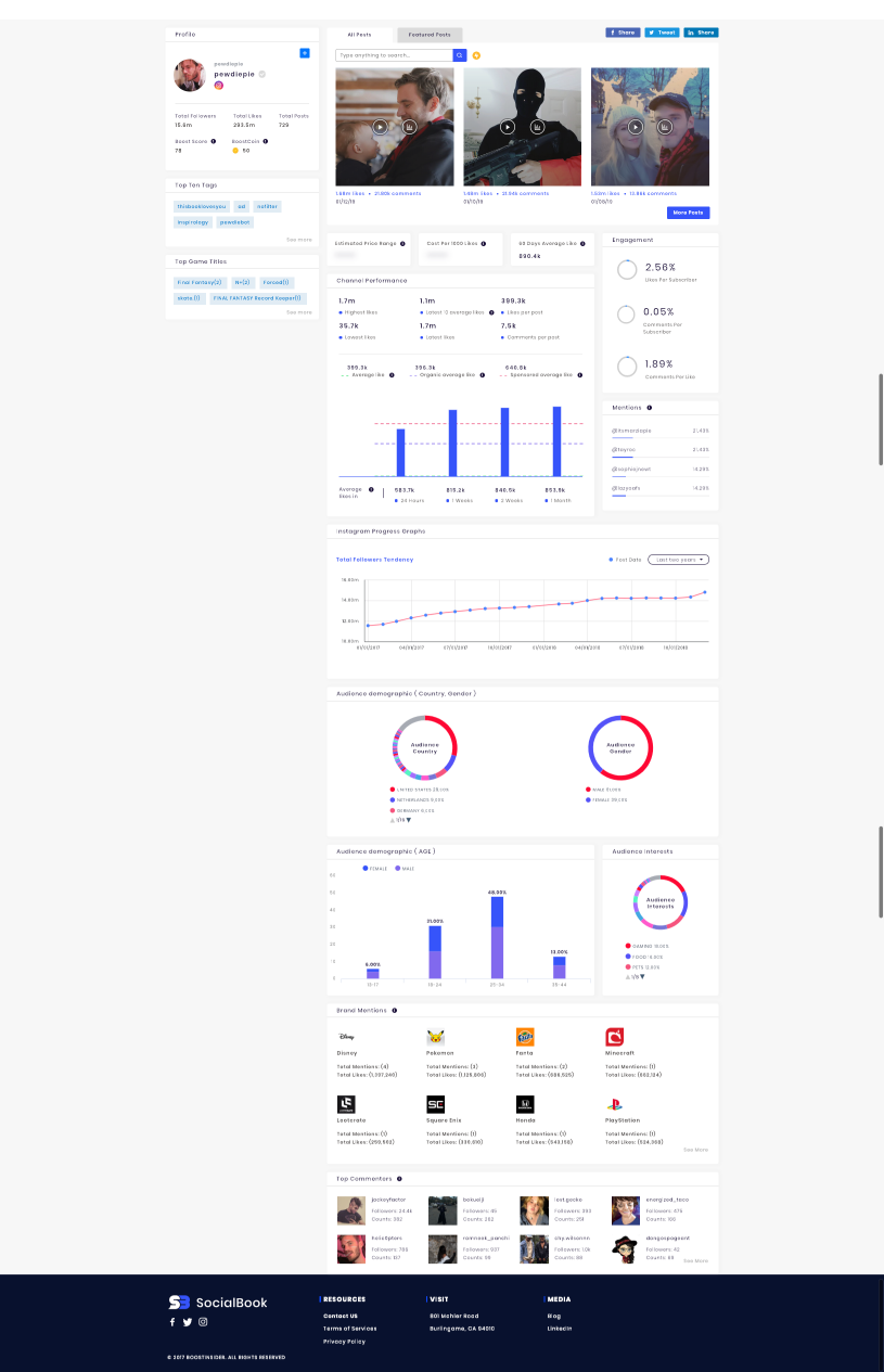 A sample Instagram channel analytics by SocialBook.