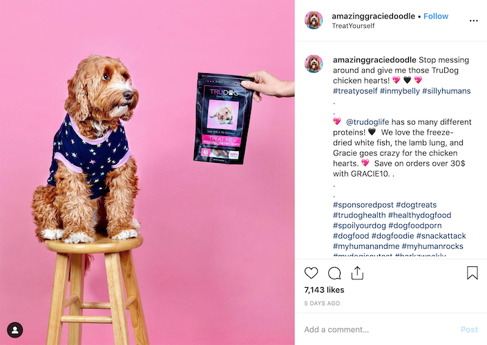 Giving coupon code is one of the marketing strategies when influencers post #sponsored posts. Image Credit: @amazinggraciedoodle