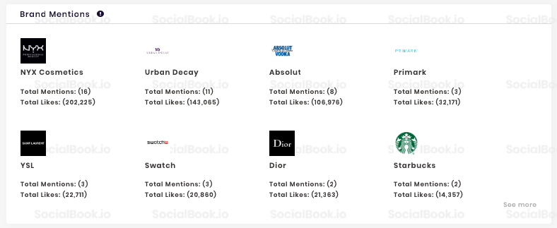 Review the sponsored brands and content of each influencer with SocialBook influencer profile.