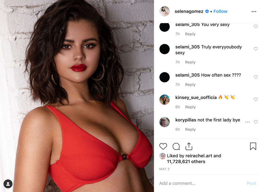 Selena Gomez most liked Instagram post in 2019 May