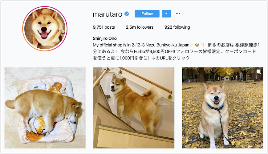 Instagram Profile of Maru