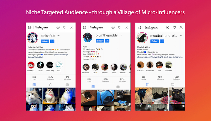 Brands can reach niche targeted audience through a village of micro influencers.