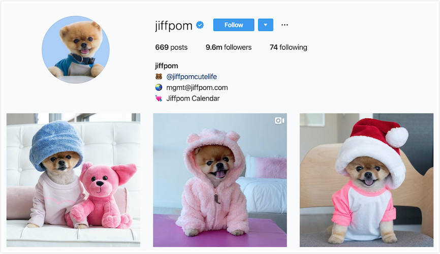 Instagram Profile of jiffpom