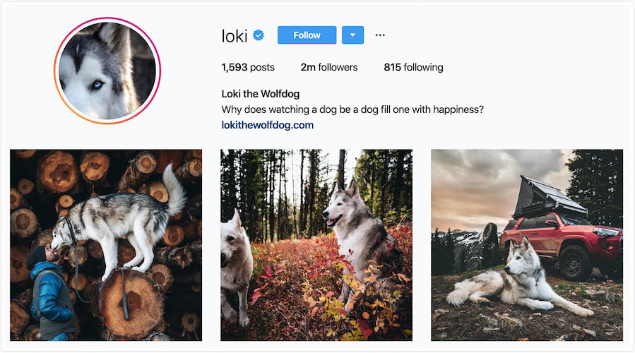 Instagram Profile of loki